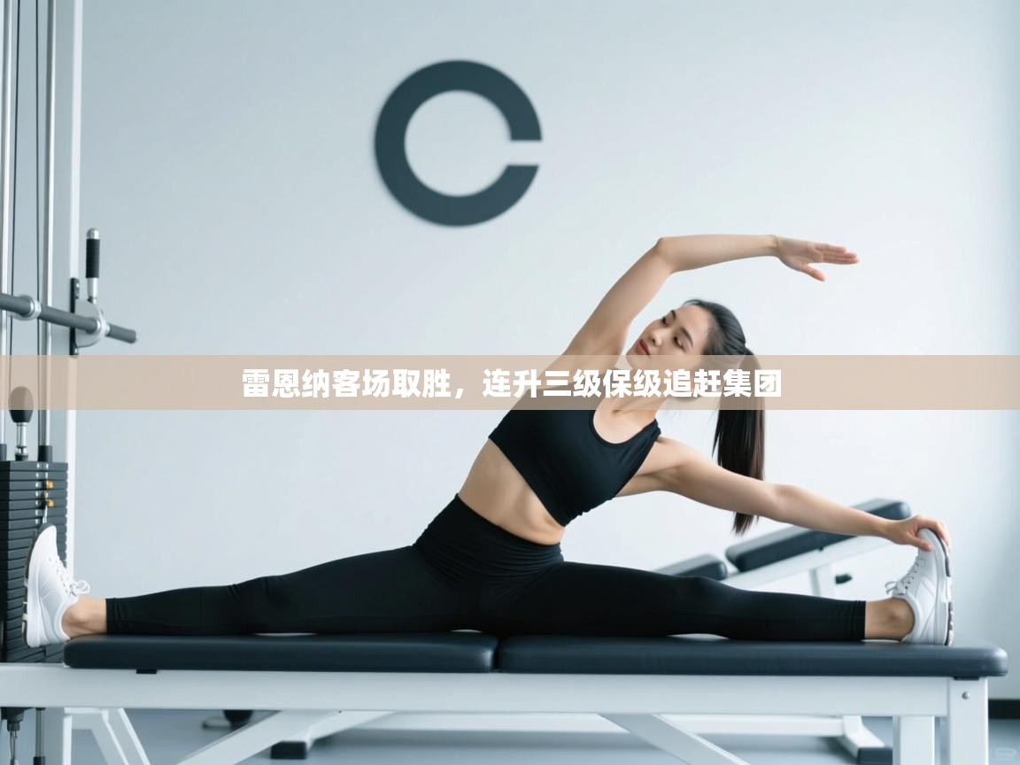 雷恩纳客场取胜，连升三级保级追赶集团  第2张