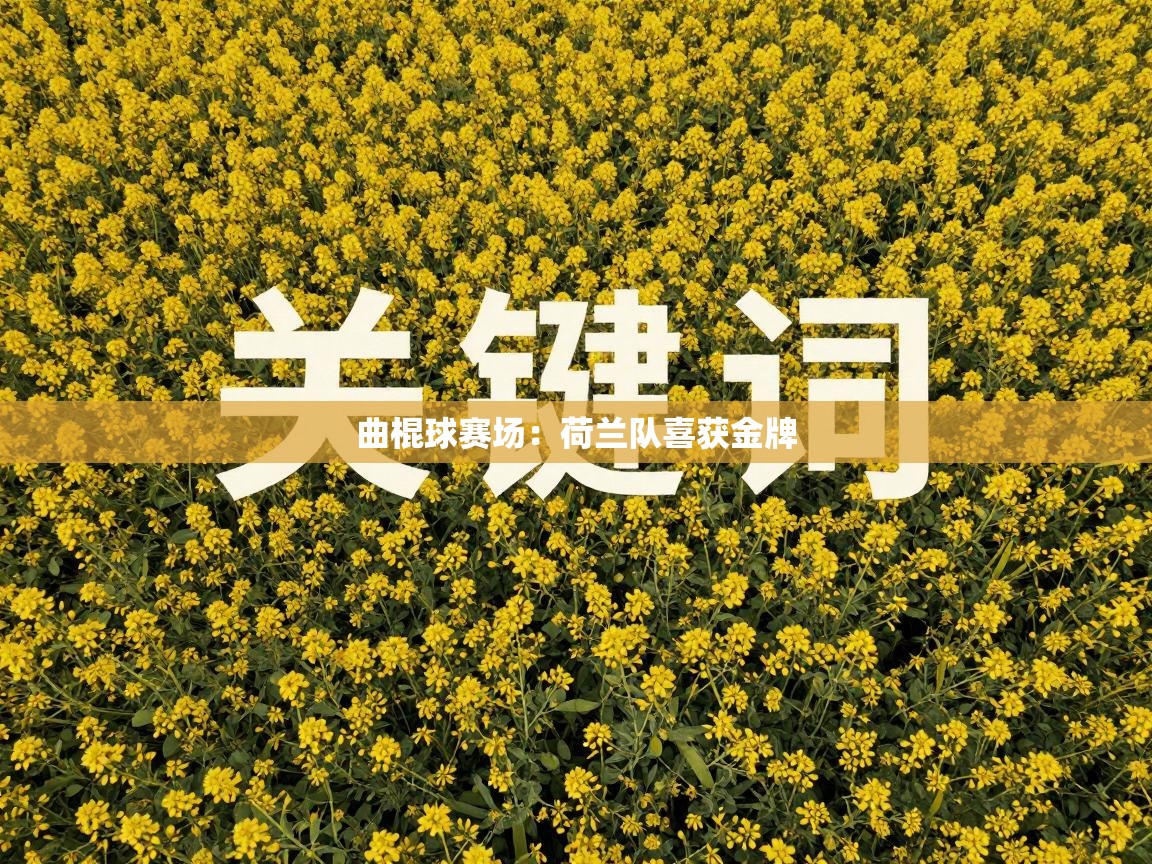 曲棍球赛场：荷兰队喜获金牌  第1张